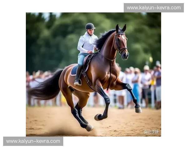 马术新闻：赛场风云与马背传奇的当下声音