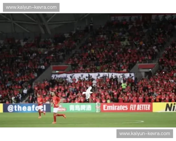 红色风暴席卷南半球：当广州恒大遇上墨尔本胜利，不仅是足球，更是城市的灵魂对撞